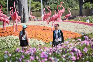 BIB: 
                            <button type="button" onclick="openModal(27794465)" class="btn btn-primary btn-sm float-right btn-popup" data-toggle="modal" data-target=".modal-high-quality">
                        <i class="fas fa-shopping-cart"></i> Add to Cart
                    </button>
                                            <button type="button" onclick="isThisMe(27794465, true)" class="btn btn-success btn-sm float-right btn-popup btn-isme hidden" data-toggle="tooltip" data-placement="bottom" title="นี่คือรูปของคุณใช่ไหม คลิกที่นี่เพื่อเอาเข้าอัลบั้ม">
                        <i class="fas fa-plus"></i> Add to album
                    </button>
                    <button type="button" onclick="isThisMe(27794465, false)" class="btn btn-warning btn-sm float-right btn-popup btn-isnotme hidden">
                        <i class="fas fa-ban"></i> Remove from album
                    </button>